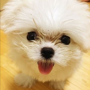 Meet your Posher, Janelle